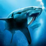Helicoprion Simulator Unlimited Money Mod Apk 1.2.1 Helicoprion Simulator Unlimited Money Mod Apk 1.2.1