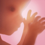 Pregnancy Tracker App Unlocked Mod Apk 6.13.1 Pregnancy Tracker App Unlocked Mod Apk 6.13.1